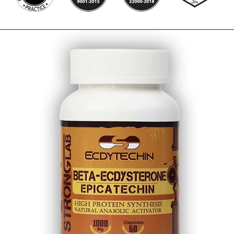 Beta-Ecdysterone 500 mg | Doğal Anabolik Kas Kütlesi Arttırıcı – 60 Kapsül