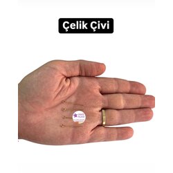 Çelik Çivi