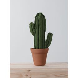 LARGE SAGUARO CACTUS  |  VERDE 4