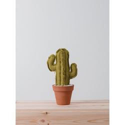 MEDIUM SAGUARO CACTUS  |  VERDE 3