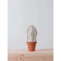 MEDIUM COLUMN CACTUS  |  BLANCO