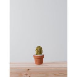 MINI COLUMN CACTUS  |  VERDE 3