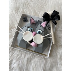 PİNYATA CAT 