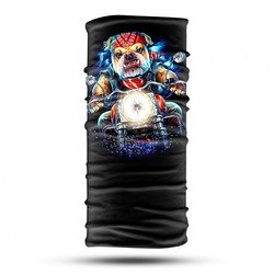 Bulldog - DAIRB0050