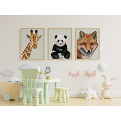Animal series 