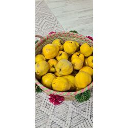 Ayva Sirkesi