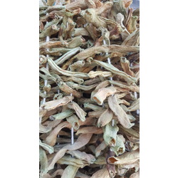 Kurutulmuş Fasulye