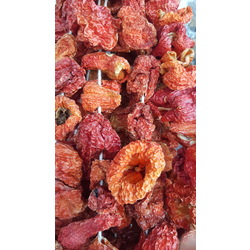 Kurutulmuş Dolmalık Biber
