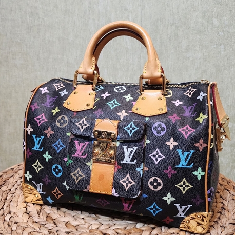 LOUIS VUITTON | Multicolor Speedy 