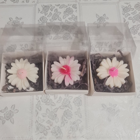 Bu 3 'lü ürün sadece sembolik olarak mum alarak, bağış yapmak isteyenler içindir.
