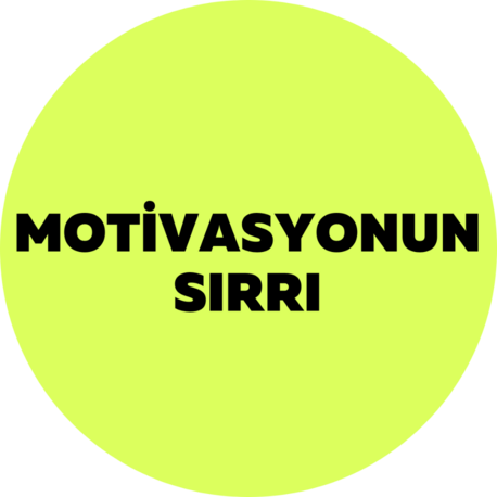 Motivasyonun Sırrı