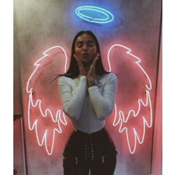melek kanadı led neon