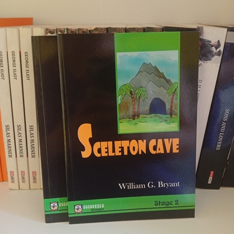 A2 Seviye Sceleton Cave