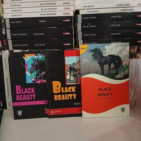 Black Beauty- A1 Seviye İngilizce Okuma Kitabı