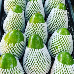 avokado jumbo