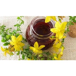 Kantaron yağı 250 ml