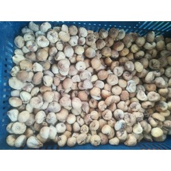 Atıştırmalık doğal dağ mahsulü bebe incir 1 kg