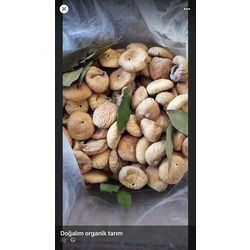 İri boy nazilli doğal dağ inciri 1kg