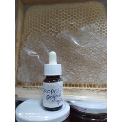 gerçek propolis