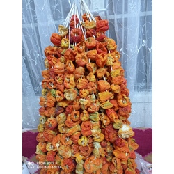 dolmalık kuru tatlı biber