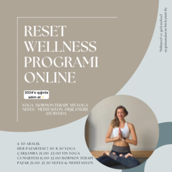 Reset Wellness Programı