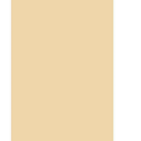 Fon Kartonu (50*70 CM) 100'lü Ten Rengi