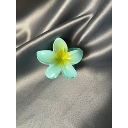 Su Yeşili Lotus Toka