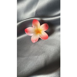 Turuncu Lotus Toka