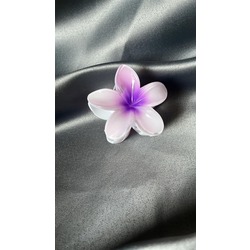 Lila Lotus Toka
