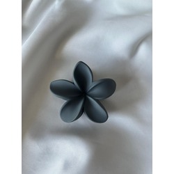 Gri Kış Sezonu Lotus Toka