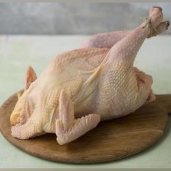 DOĞAL BESI KÖY TAVUĞU 