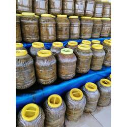SALAMURA YAPRAK 3 kg 