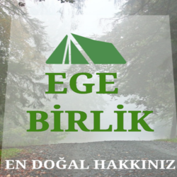 tereyağ tavuk yumurta 