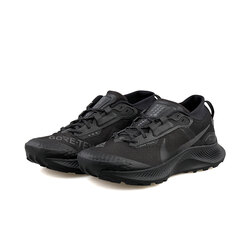 Pegasus Trail 3 Gtx