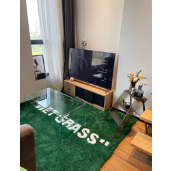 Wet Grass Ikea&Off white halı