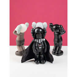 KAWS 25cm DV STW