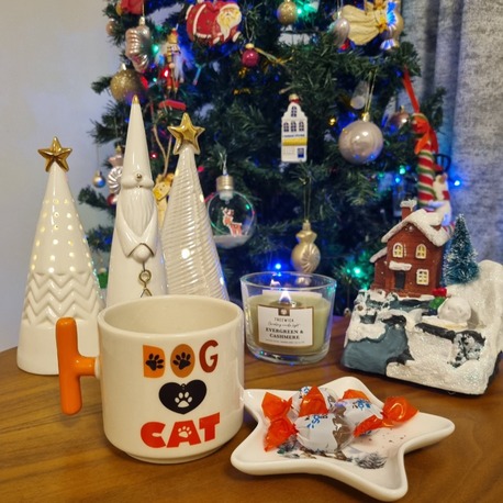 CAT & DOG KUPA BARDAK