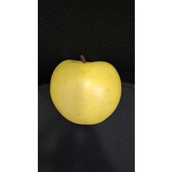 BPH01-3-0112 Yapay Doğal Taze Elma Meyve Orta Botanik Golden Delicious 1 Adet