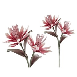 1LF-12130C LMDR Latin Çiçeği Koyu Pembe 96cm Kıvrılabilir Dekoratif Yapay Çiçek (1 Dal)
