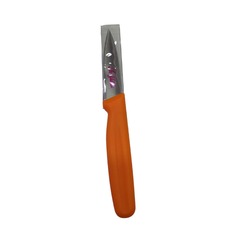AR4002ST Sivri Ağız Basic Sebze Meyve Bıçağı 8cm metal bıçak 1 adet Turuncu