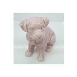 Pembe Köpek Biblo Miniköp P
