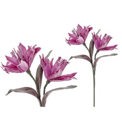 1LF-12130D LMDR Latin Çiçeği Koyu Mor 96cm Kıvrılabilir Dekoratif Yapay Çiçek (1 Dal)
