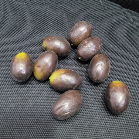 YZ1903 Yapay Zeytin 8'li 3cm