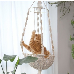 kedi hamağı