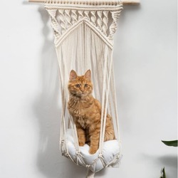 kedi hamağı