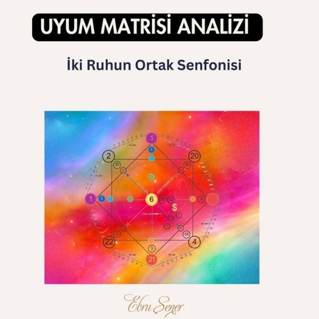İki Ruhun Ortak Senfonisi: Uyum Matrisi Analizi 