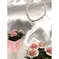 PEARL DAISY