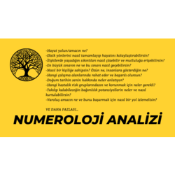 Kişisel Numeroloji Analizi