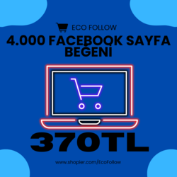 Facebook Sayfa Beğeni