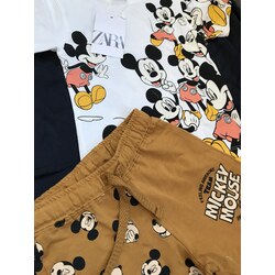 Zara Alt Üst Takım
